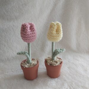 Minitulpe im Töpfchen